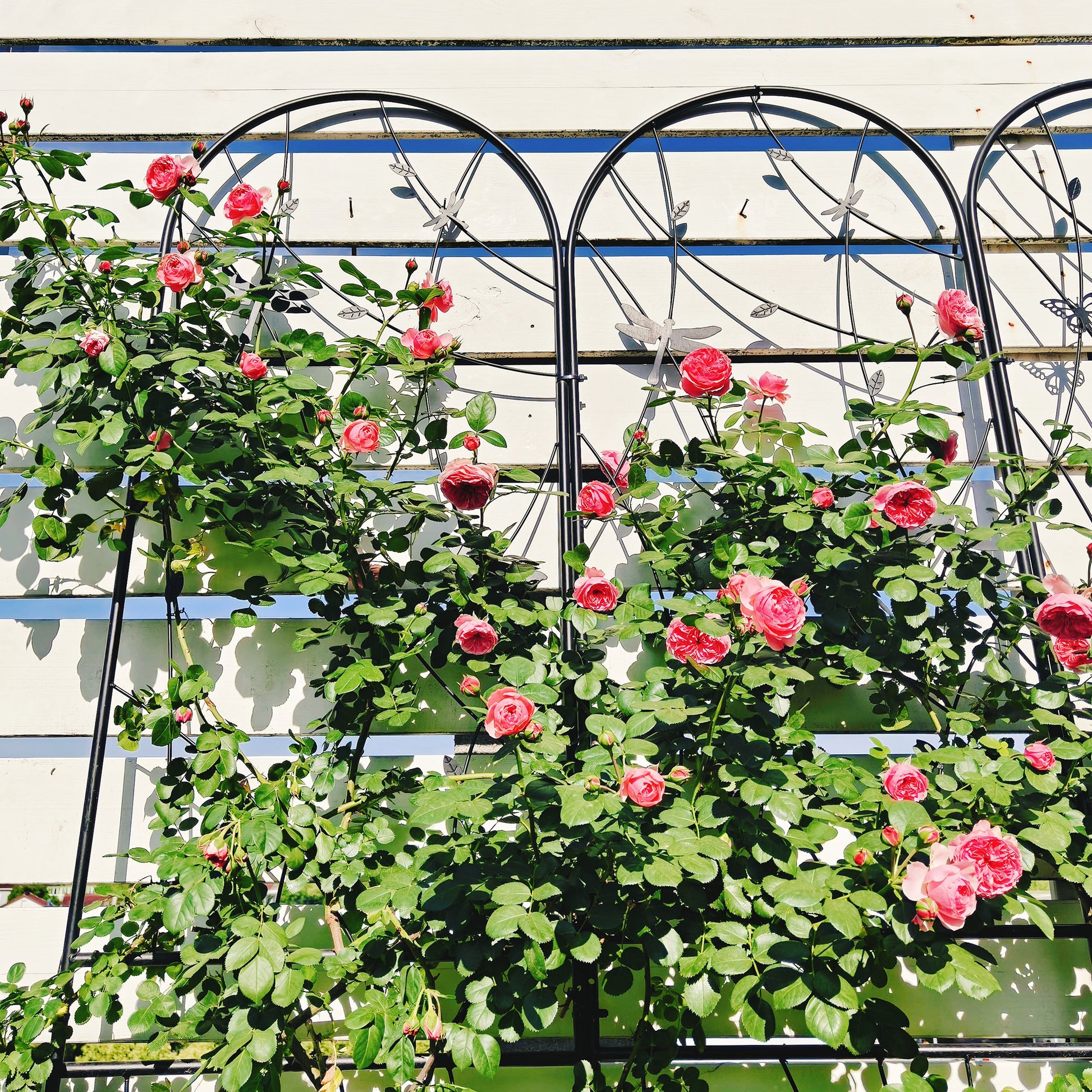 2 Pack Metal Garden Trellis 86.7" x 19.7" Rustproof Trellis for Climbing Plants Outdoor Flower Support Dragonfly Deco Black image 4
