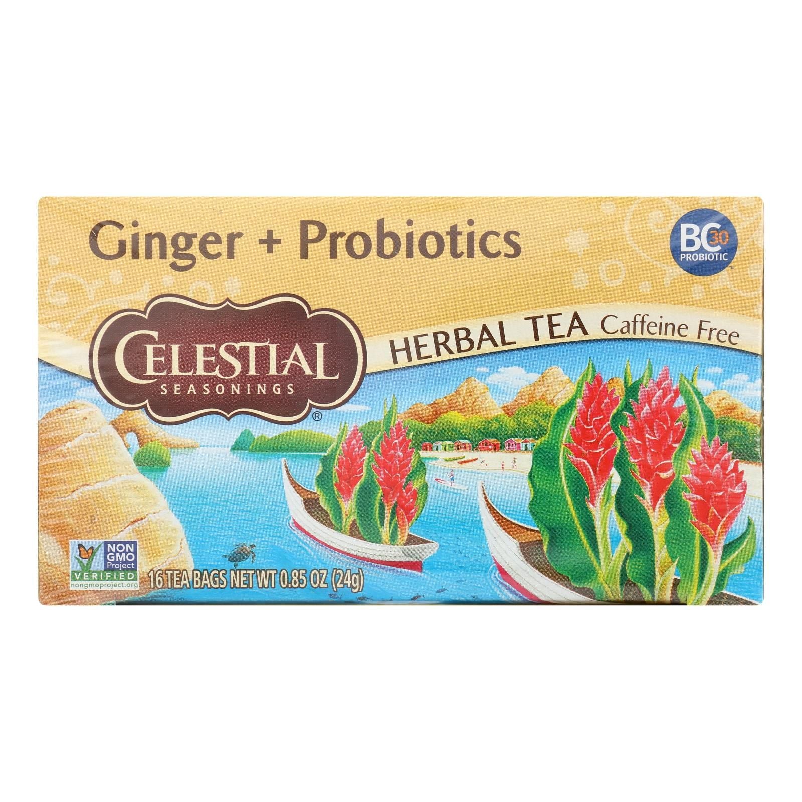 Celestial Seasonings - Tea Ginger And Probiotics - Case Of 6-16 Bag image 1