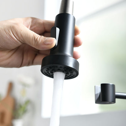 Commercial Black and Nickle Kitchen Faucet with Pull Down Sprayer, Single Handle Single Lever Kitchen Sink Faucet image 3