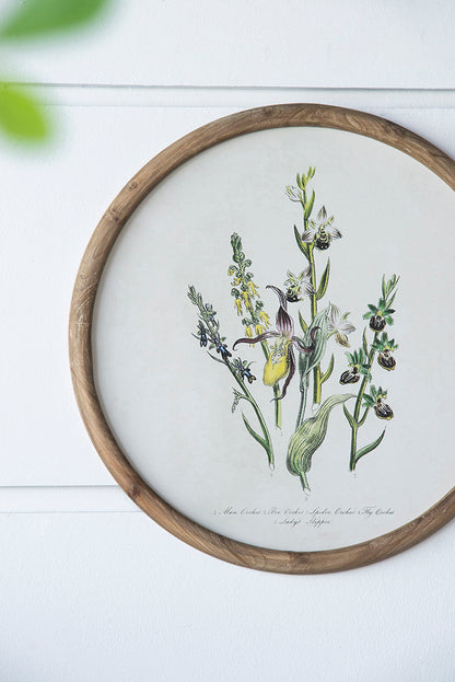 S/4 D19.7" Flora Print Round Frame image 12
