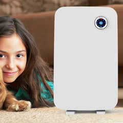 Large Room Air Purifier Cleaner H13 True HEPA Filter 24db Quiet Reminder & Timer