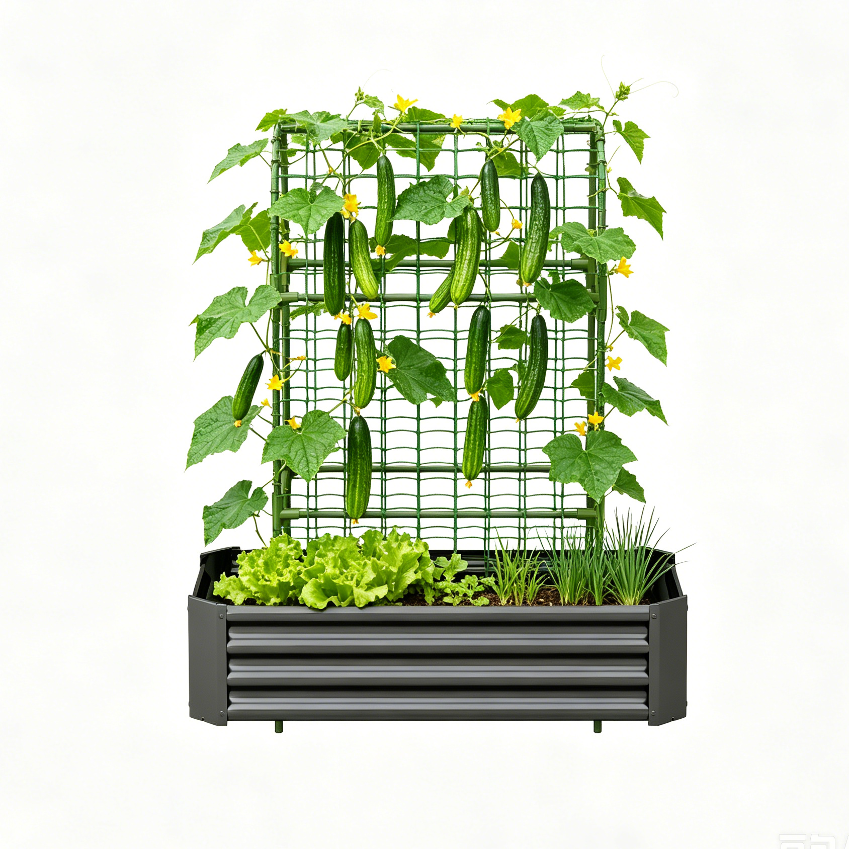 2-in-1 Raised Garden Bed with Trellis - 59" Tall Arch Planter Box for Climbing Plants, Outdoor Galvanized Metal Gardening Bed for Vegetables, Fruits, Flowers (Black, 4x2x1 Ft) image 8