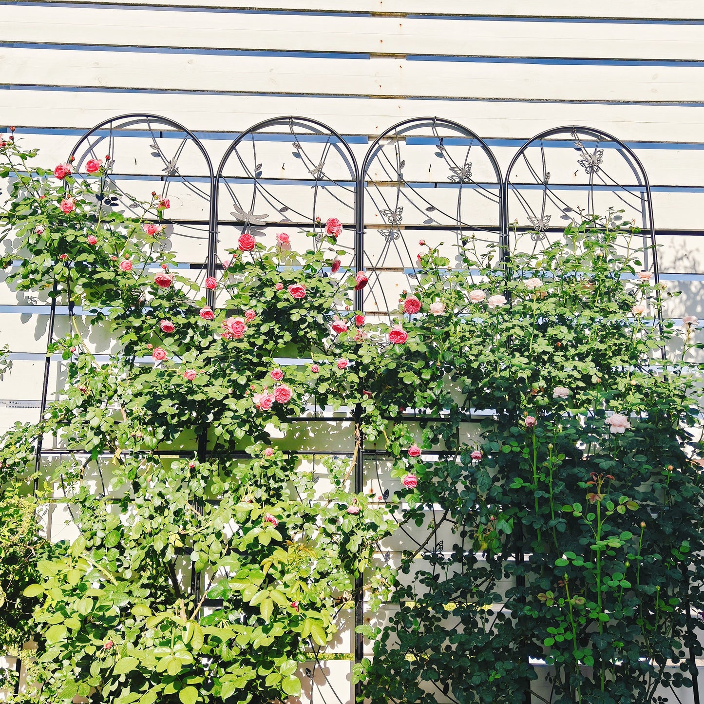 2 Pack Metal Garden Trellis 86.7" x 19.7" Rustproof Trellis for Climbing Plants Outdoor Flower Support Dragonfly Deco Black image 3