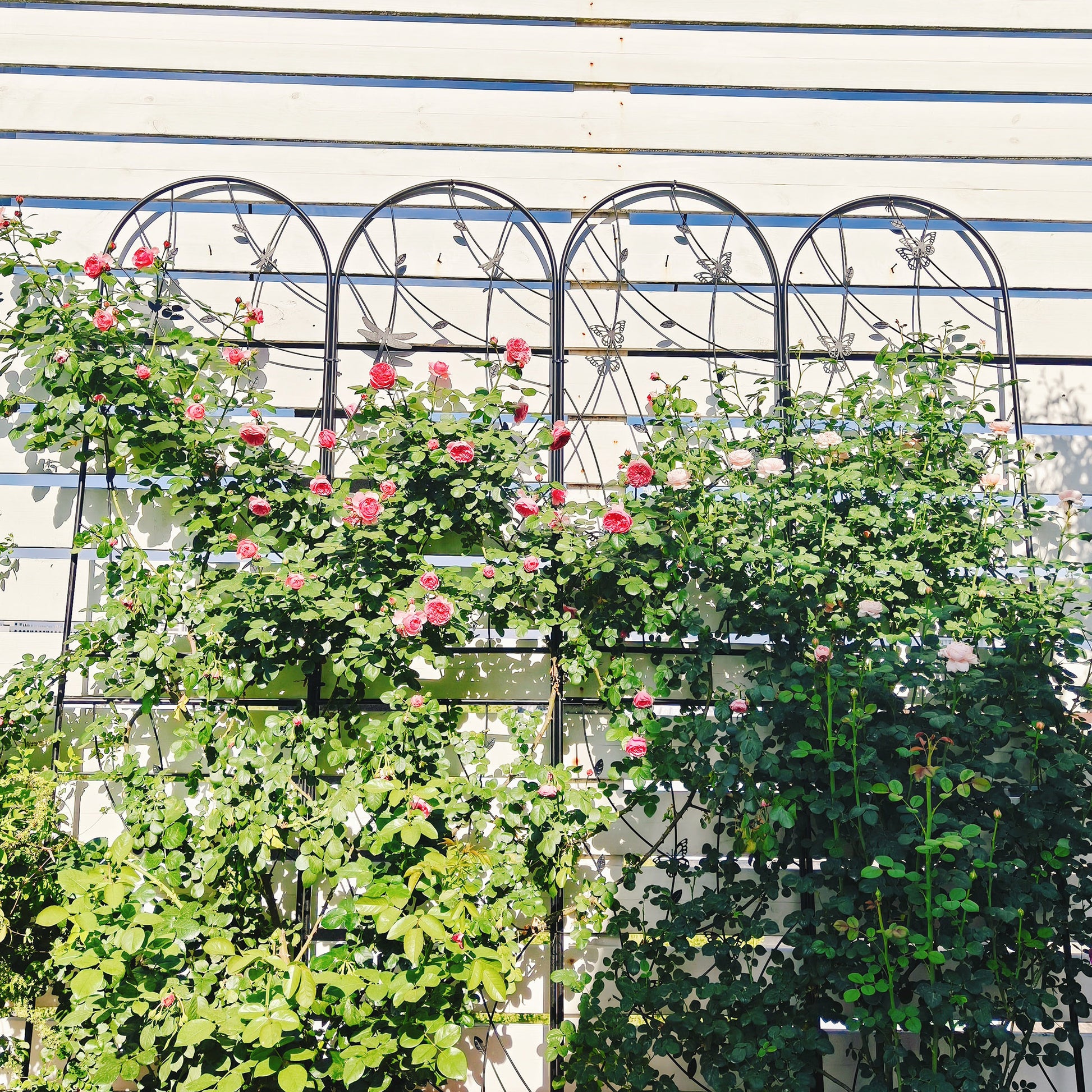 2 Pack Metal Garden Trellis 86.7" x 19.7" Rustproof Trellis for Climbing Plants Outdoor Flower Support Dragonfly Deco Black image 3