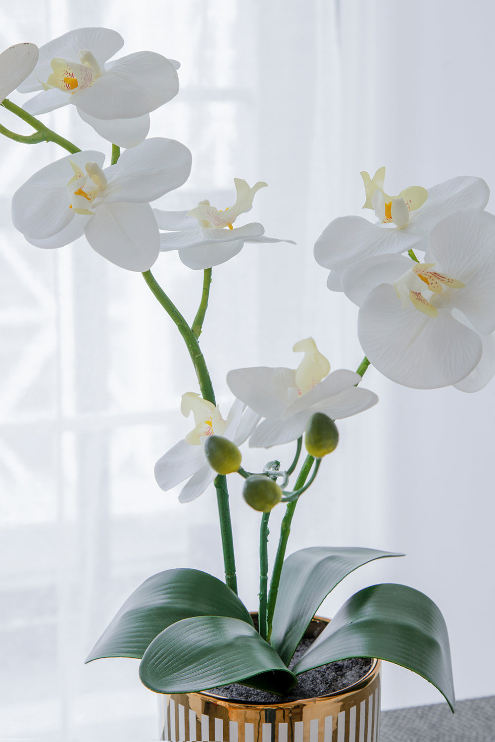 9.5x6x20.5"H Artificial White Orchid in Gold Striped Pot image 2