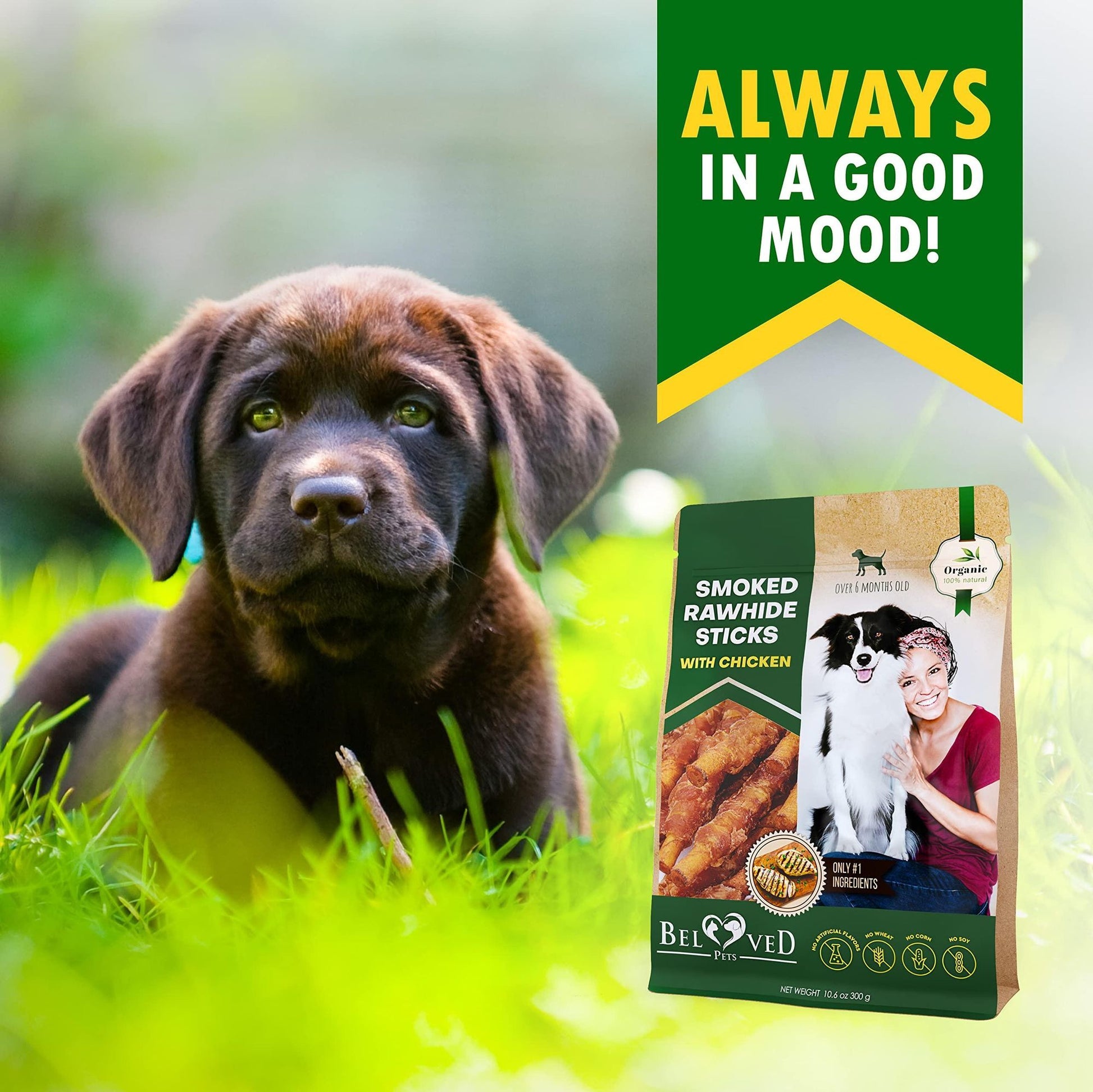 Dog Smoked Rawhide Sticks Wrapped Chicken Pet Natural Chew Treats Grain Free Organic Meat Healthy Human Grade Dried Snac image 7