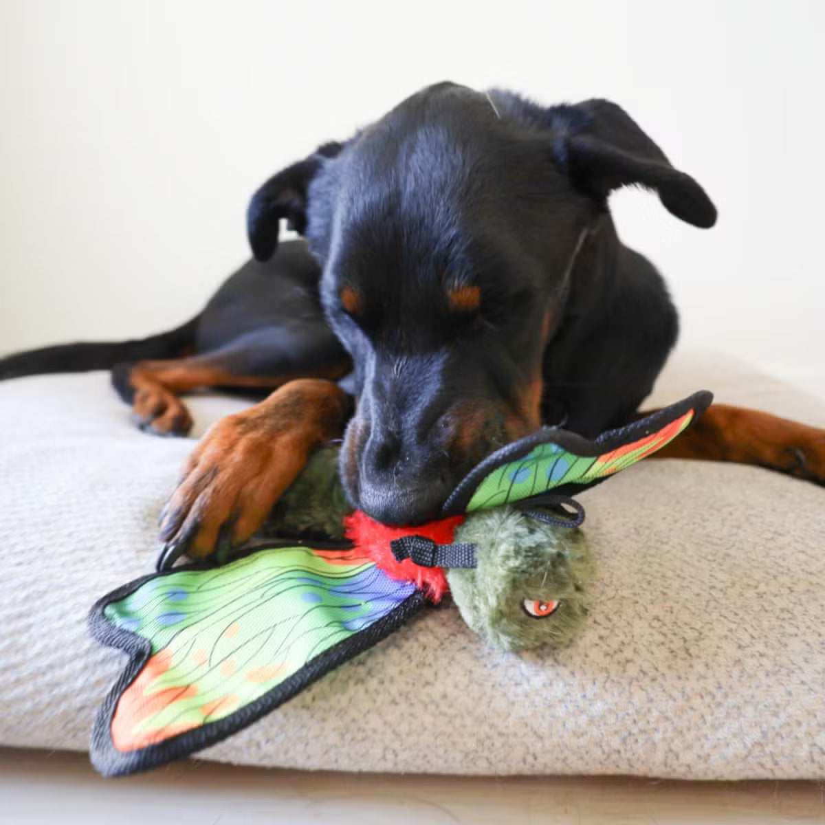 538937121