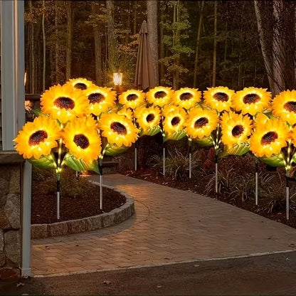 538911901