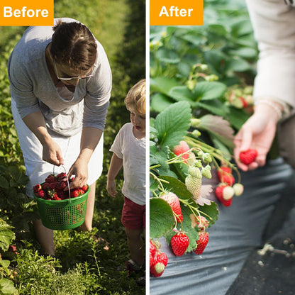 538930601