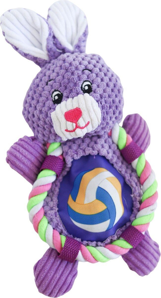 538937501