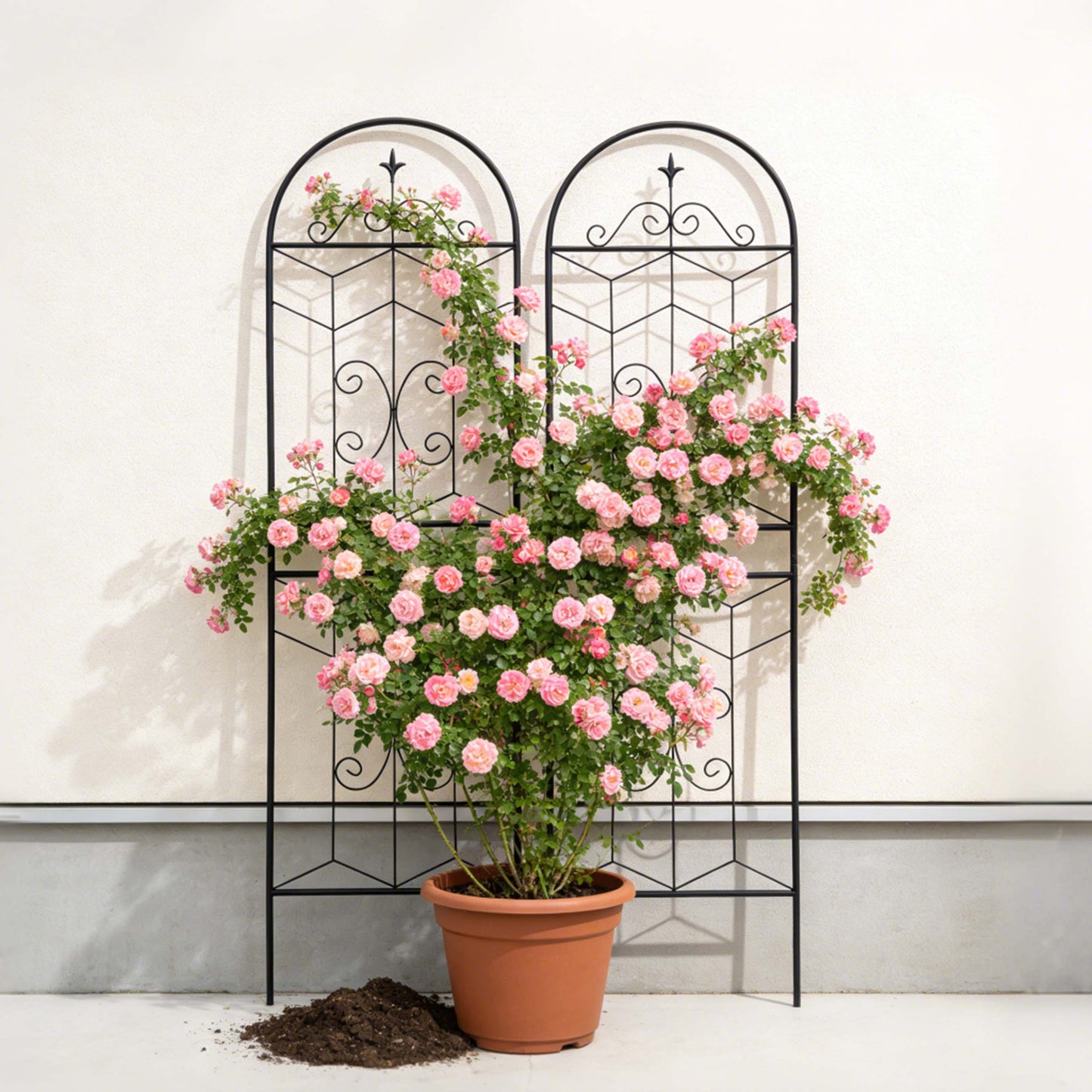 2 Pack Metal Garden Trellis 71" x 19.7" Rustproof Trellis for Climbing Plants Outdoor Flower Support Black image 5