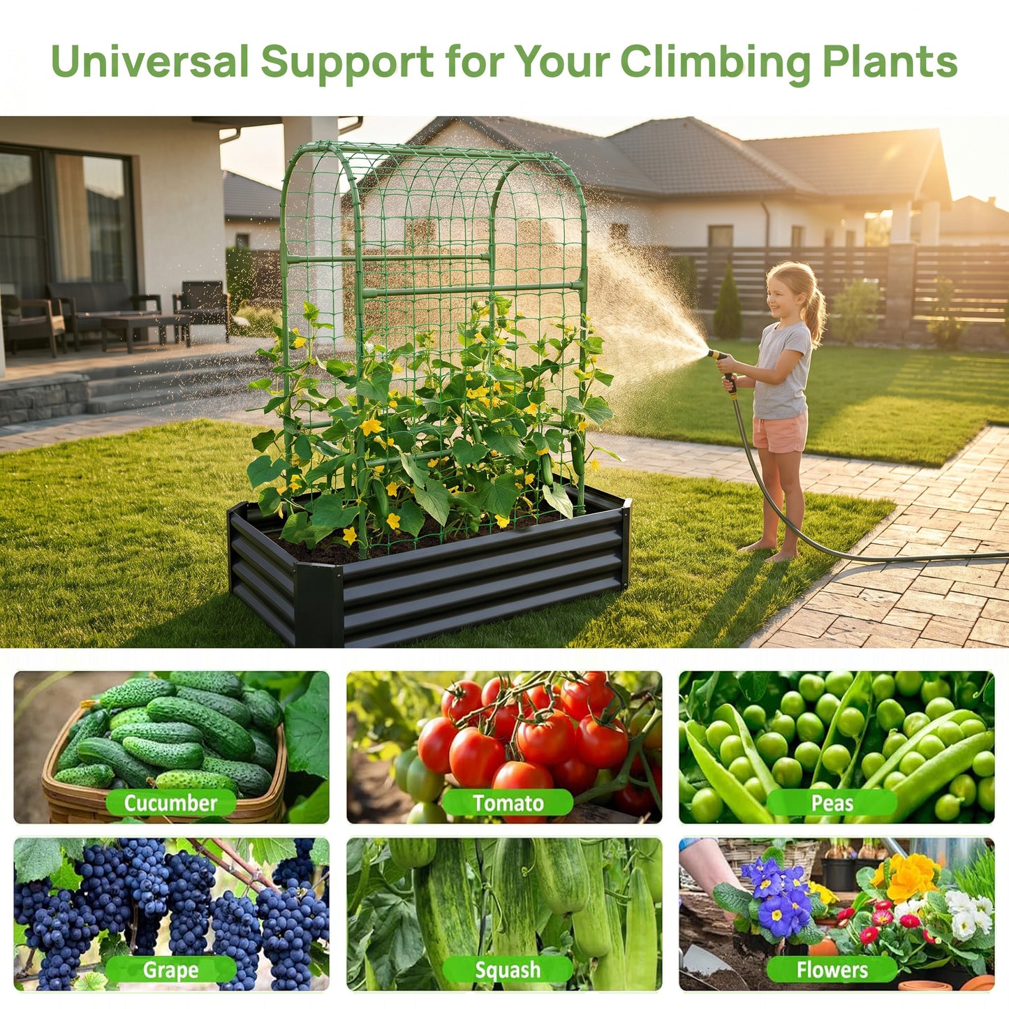 2-in-1 Raised Garden Bed with Trellis - 59" Tall Arch Planter Box for Climbing Plants, Outdoor Galvanized Metal Gardening Bed for Vegetables, Fruits, Flowers (Black, 4x2x1 Ft) image 6