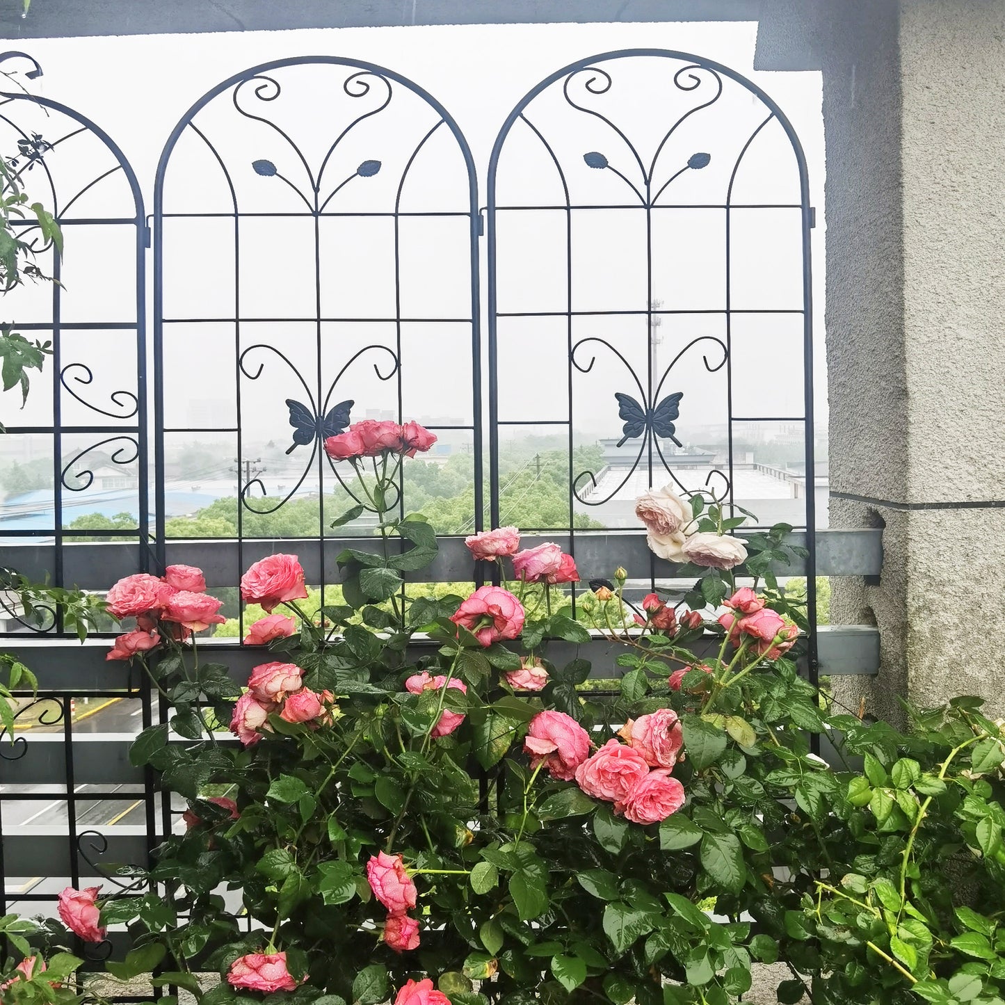 2 Pack Metal Garden Trellis 86.7" x 19.7" Rustproof Trellis for Climbing Plants Outdoor Flower Support Black image 12