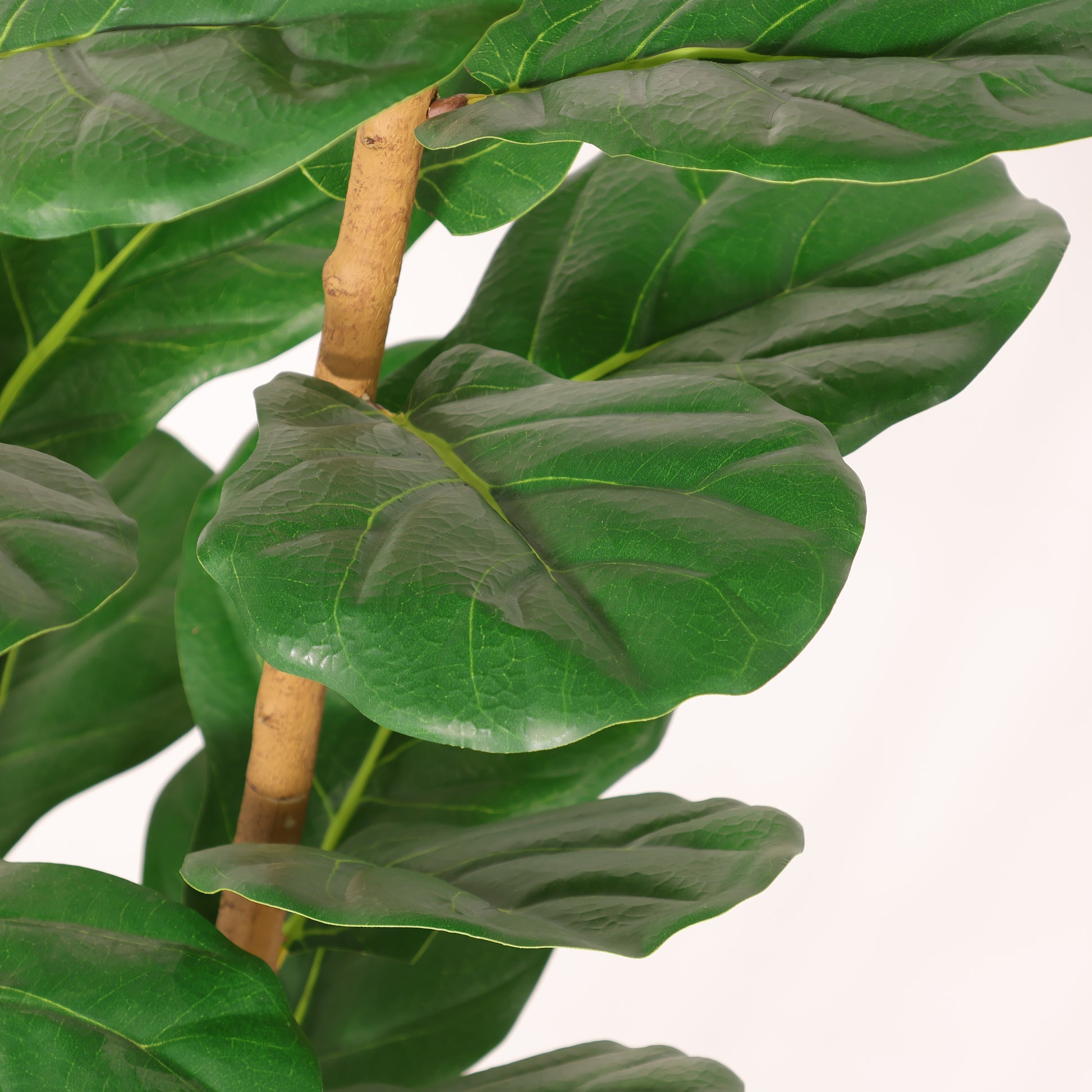 5.2FT Artificial Fiddle Leaf Fig Tree With Decorative White Pot, Real Touch Fake Indoor Plant for Home Office Living Room Corner Decoration, 1pc/set image 7