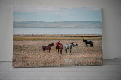 Horse framed wall art decor country western farmhouse wood painting wild horses grassland 36x24 inch image 2