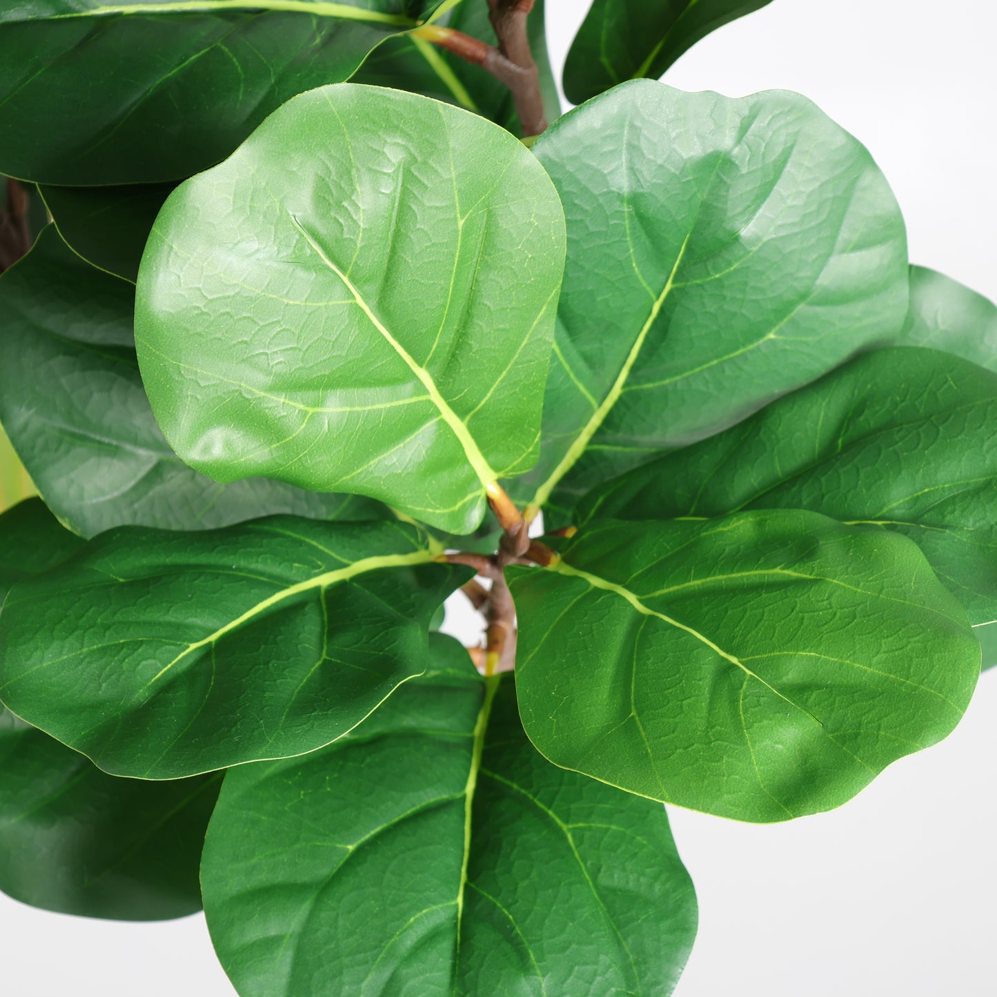 6FT Artificial Fiddle Leaf Fig Tree With Decorative White Pot, Faux Indoor Plant for Home Office Living Room Corner Decoration, 1pc/set image 8
