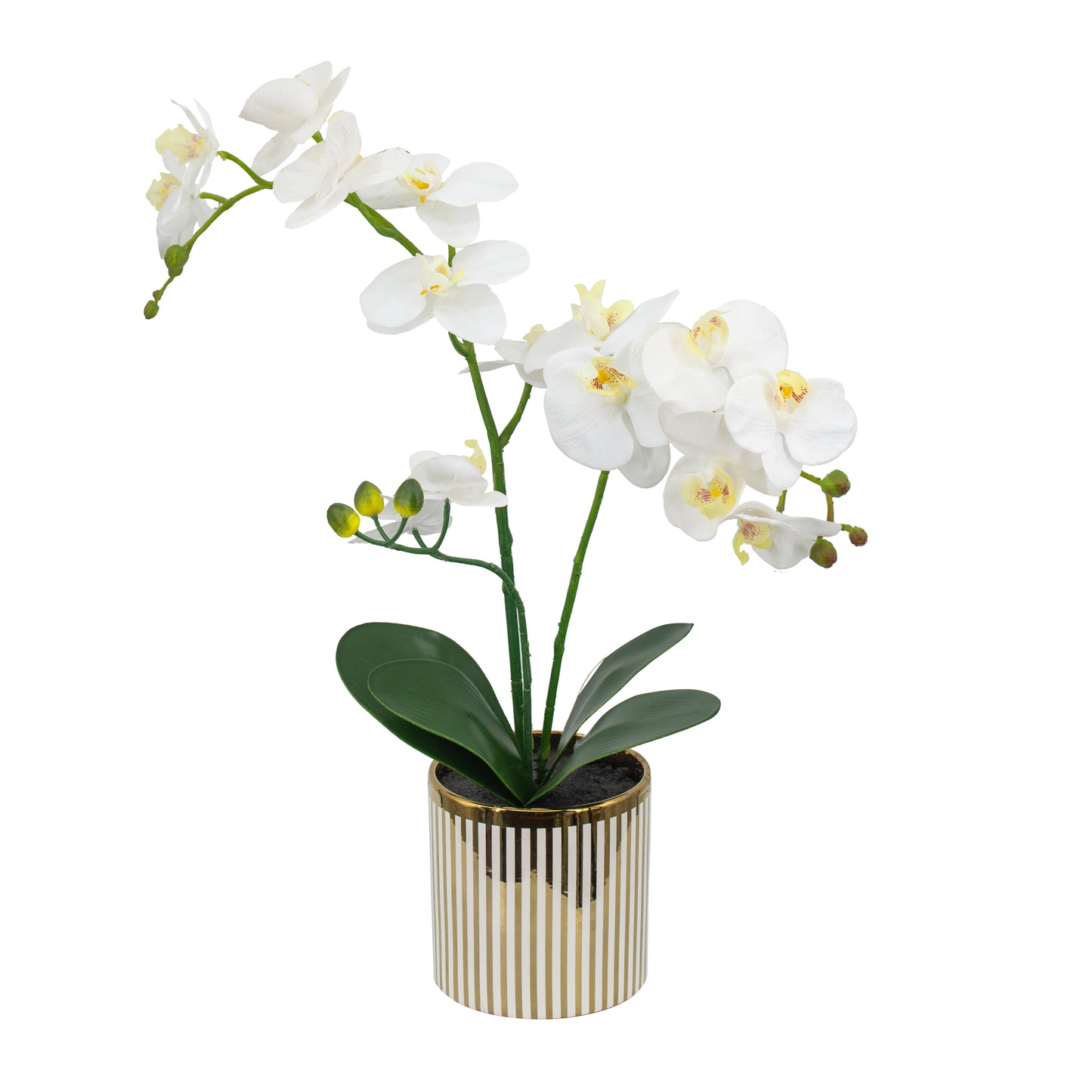 9.5x6x20.5"H Artificial White Orchid in Gold Striped Pot image 5