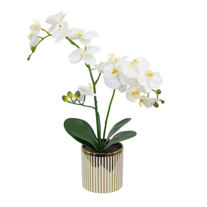 9.5x6x20.5"H Artificial White Orchid in Gold Striped Pot image 5