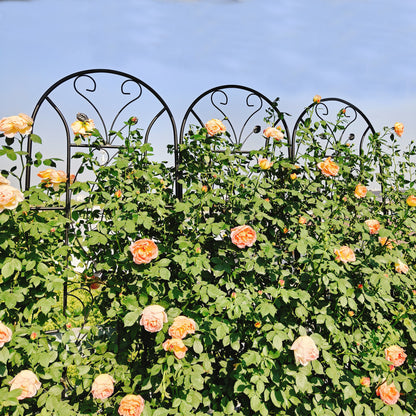 4 Pack Metal Garden Trellis 86.7" x 19.7" Rustproof Trellis for Climbing Plants Outdoor Flower Support Peacock Style Black image 3