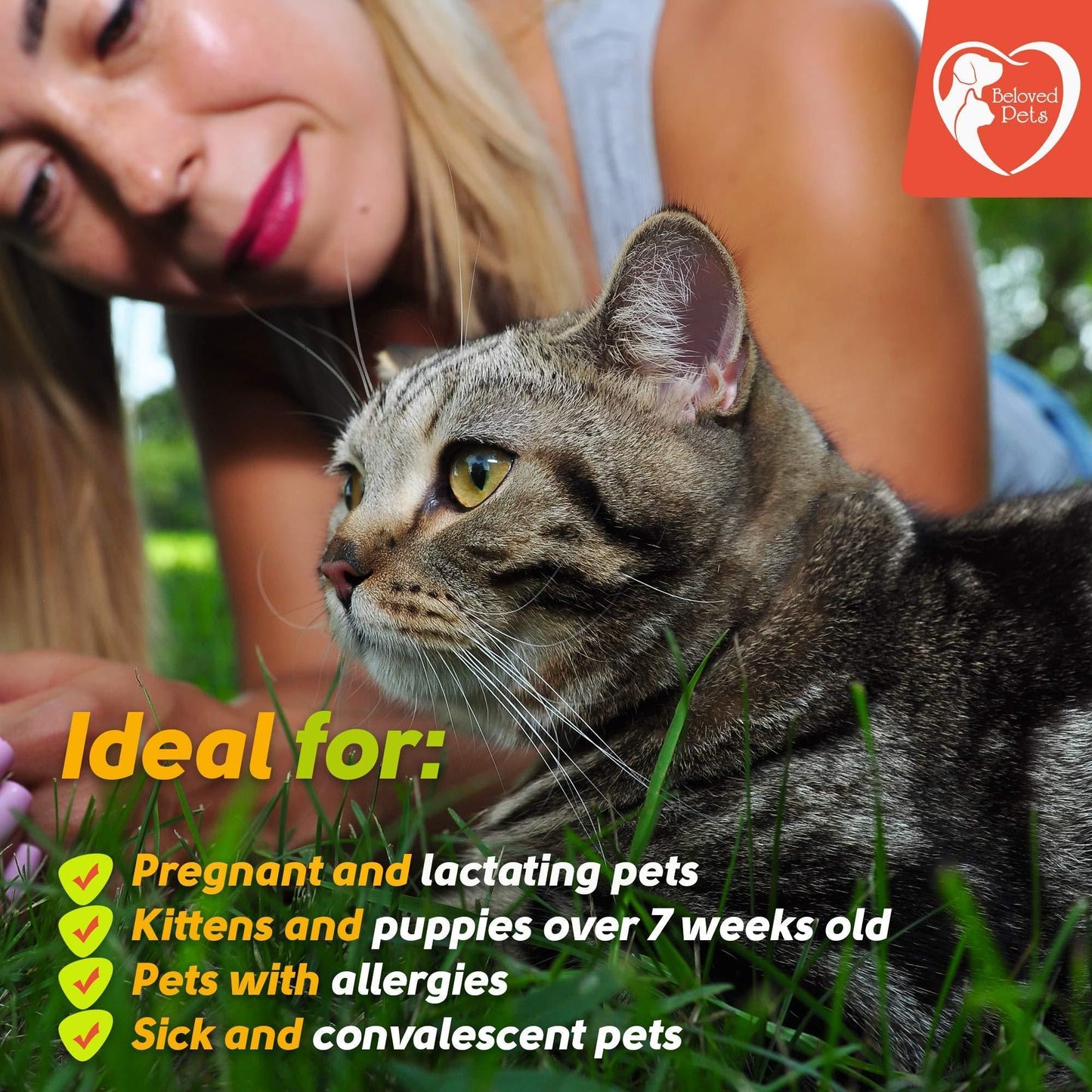 Flea and Tick Prevention for Dogs Cats Rabbits Natural Flea Treatment Home Pest Control Topical Flea Mosquito Repellent  image 4