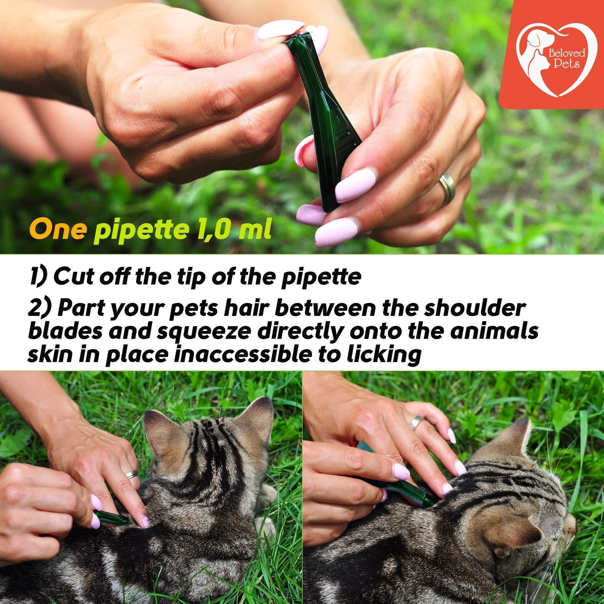 Flea and Tick Prevention for Dogs Cats Rabbits Natural Flea Treatment Home Pest Control Topical Flea Mosquito Repellent  image 7
