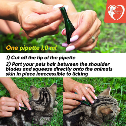 Flea and Tick Prevention for Dogs Cats Rabbits Natural Flea Treatment Home Pest Control Topical Flea Mosquito Repellent  image 7