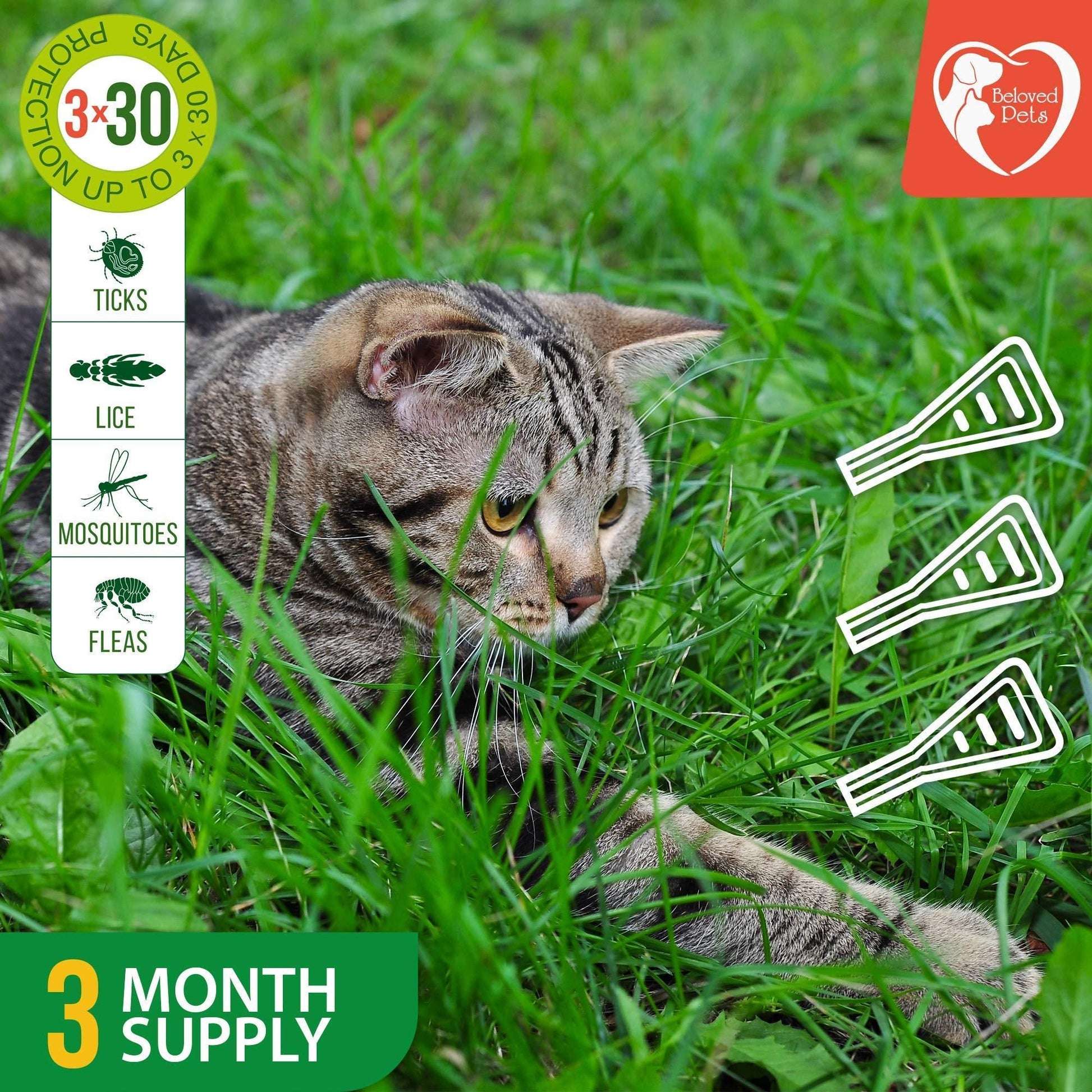 Flea and Tick Prevention for Dogs Cats Rabbits Natural Flea Treatment Home Pest Control Topical Flea Mosquito Repellent  image 3