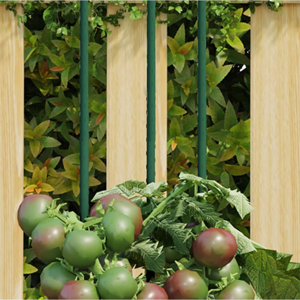 Garden Plant Stakes 30 pcs Green 70.9" Steel image 1