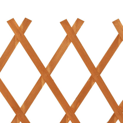 Garden Trellis Fence Orange 47.2"x35.4" Solid Firwood image 6