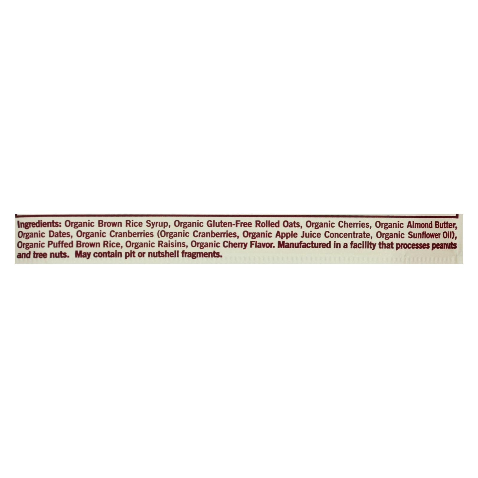 Gomacro Organic Macrobar - Cherries And Berries - 2 Oz Bars - Case Of 12 image 2