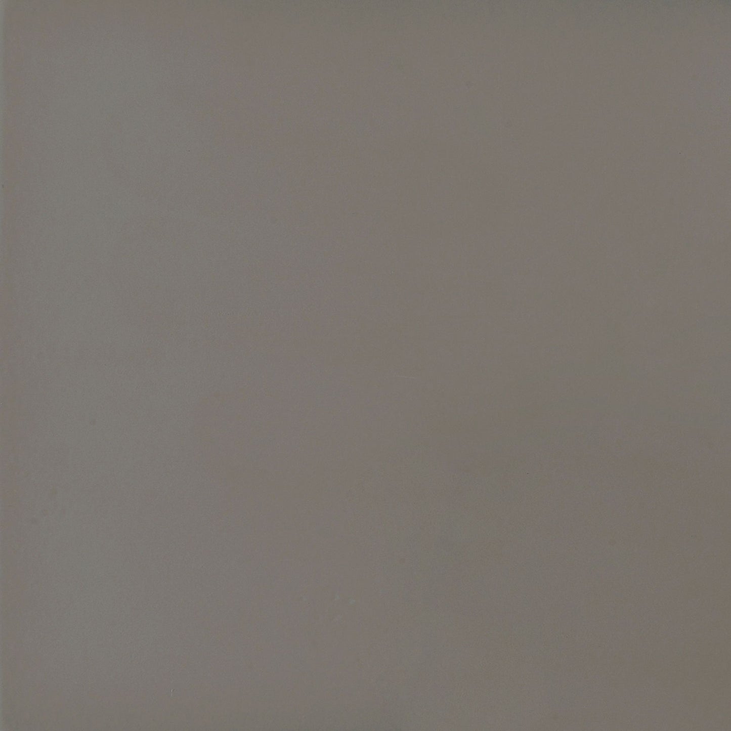 Grey Driftwood and Light Grey 4-Panel Folding Screen image 6