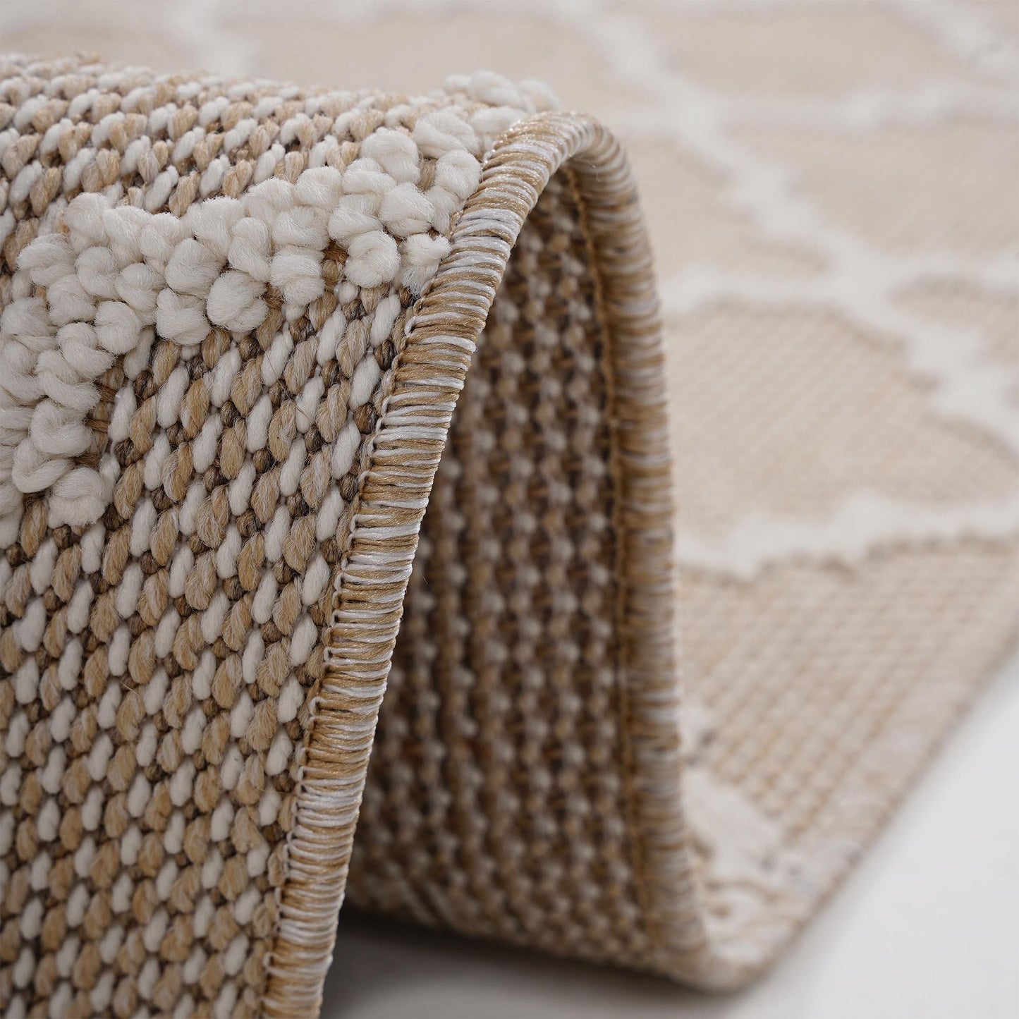 Guros Collection 8X10 Ivory / Trellis Indoor / Outdoor Area Rug image 4