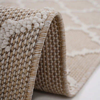 Guros Collection 8X10 Ivory / Trellis Indoor / Outdoor Area Rug image 4