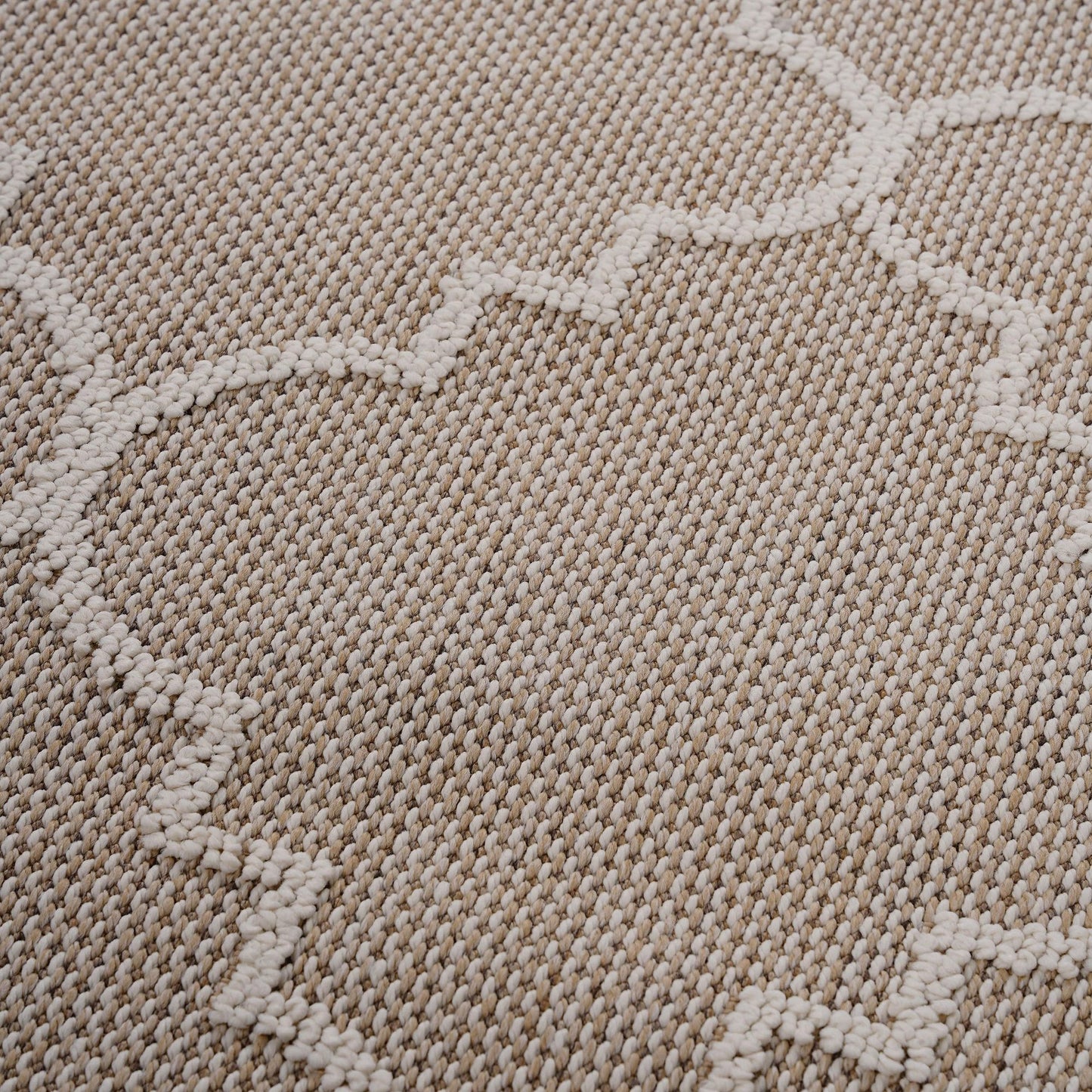 Guros Collection 8X10 Ivory / Trellis Indoor / Outdoor Area Rug image 3