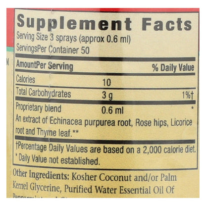 Herbs For Kids Super Kid's Throat Spray Peppermint - 1 Fl Oz image 3