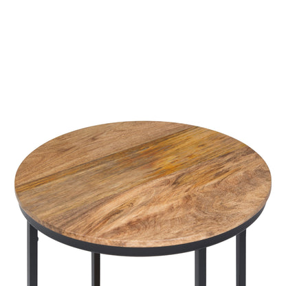 Jenna 18 inch Wide Solid Mango Wood and Metal Round Side Table in Natural image 7