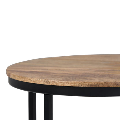 Jenna 18 inch Wide Solid Mango Wood and Metal Round Side Table in Natural image 4