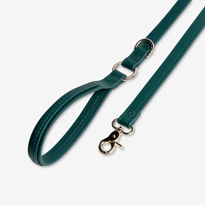 Jump Around - Luxury Waterproof Durable Dog Leash image 3
