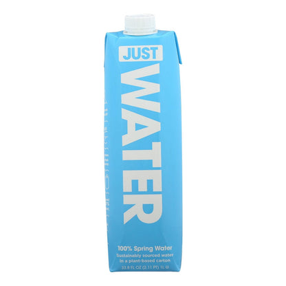 Just Water - Water 100% Spring - Case Of 12-33.8 Fz image 1