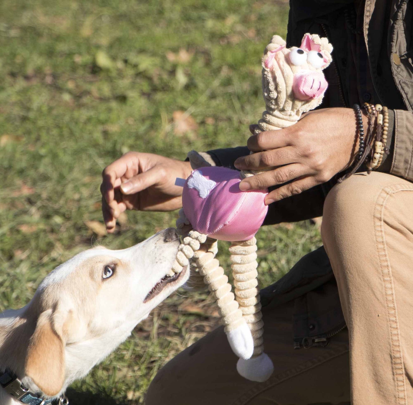 Jute And Rope Giraffe - Pig Pet Toy image 2