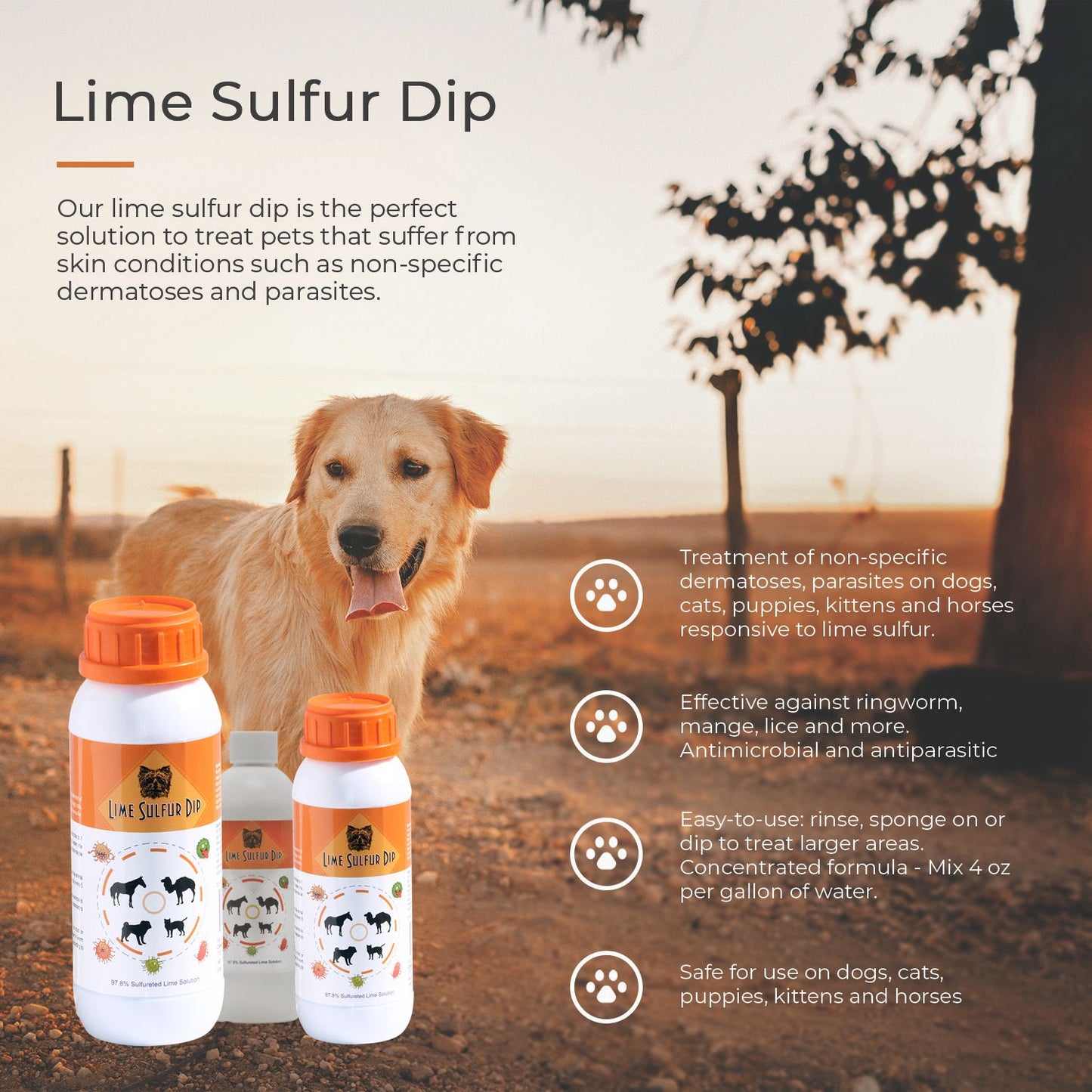 Lime Sulfur Dip image 15
