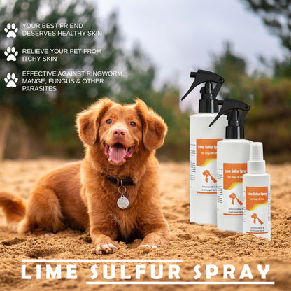 Lime Sulfur Spray image 3