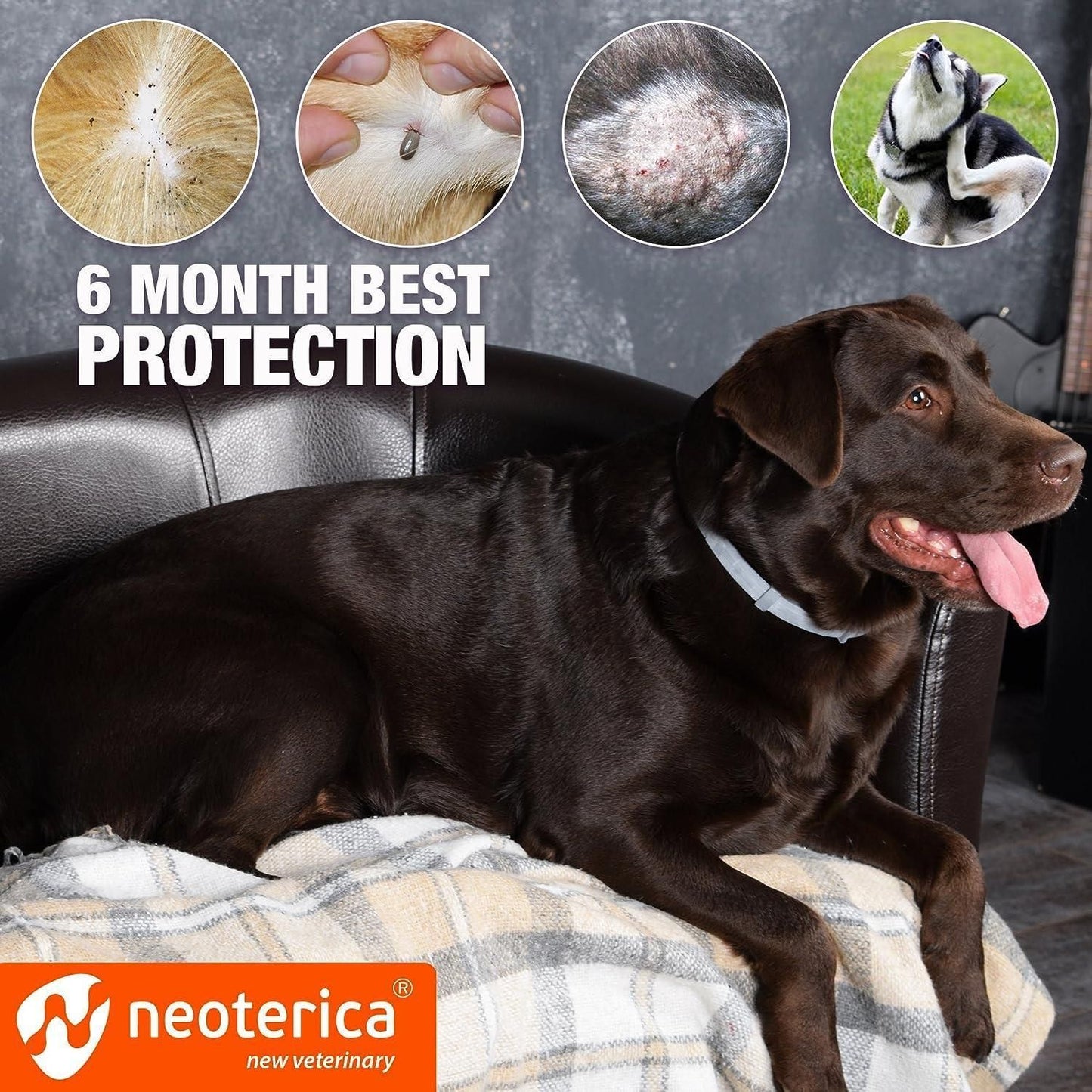Natural Flea Tick Collar for Dogs 6 Months Control of Best Prevention Safe Treatment Anti Fleas and Ticks Essential Oil  image 4