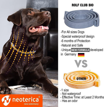 Natural Flea Tick Collar for Dogs 6 Months Control of Best Prevention Safe Treatment Anti Fleas and Ticks Essential Oil  image 6