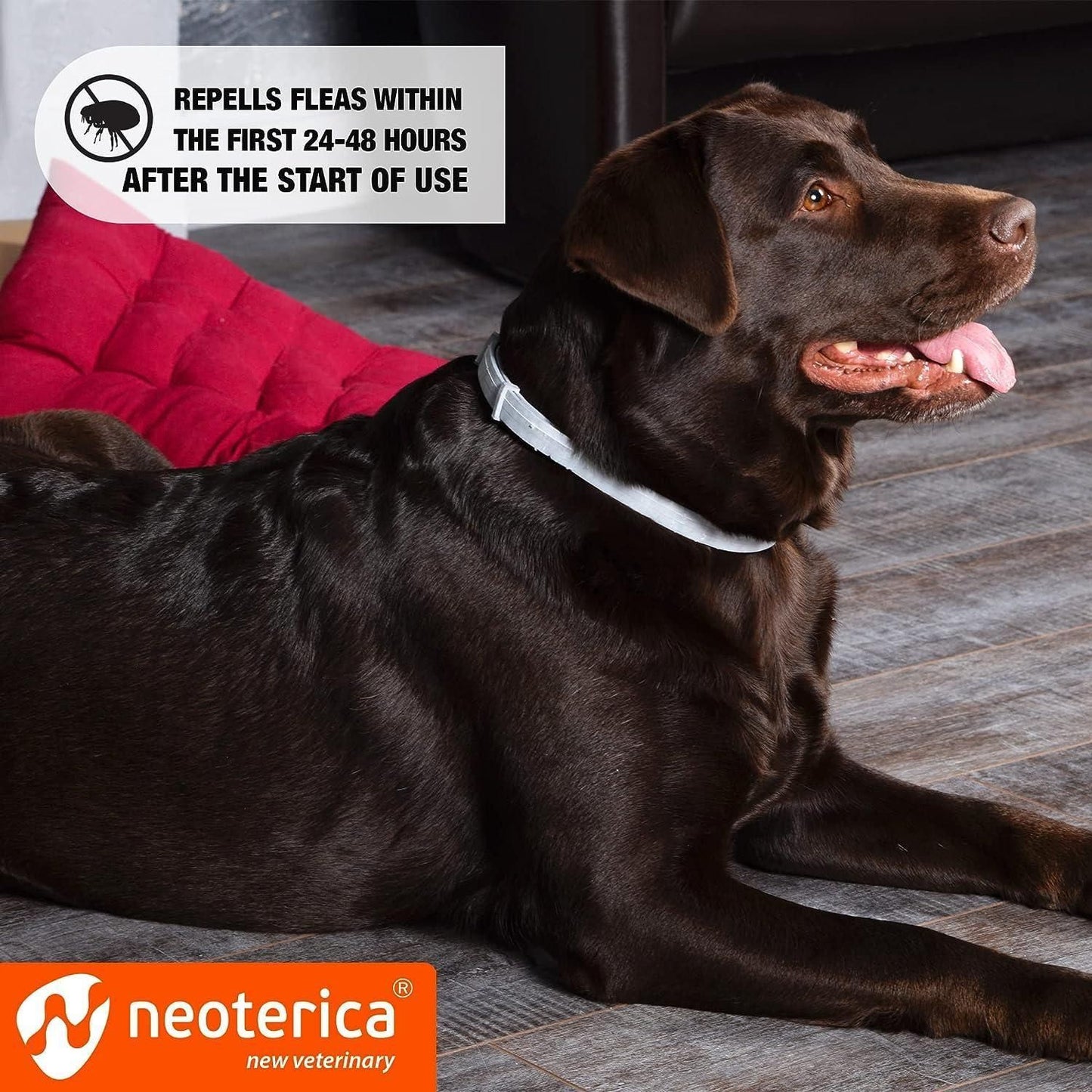 Natural Flea Tick Collar for Dogs 6 Months Control of Best Prevention Safe Treatment Anti Fleas and Ticks Essential Oil  image 3
