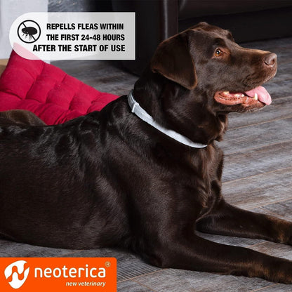 Natural Flea Tick Collar for Dogs 6 Months Control of Best Prevention Safe Treatment Anti Fleas and Ticks Essential Oil  image 3