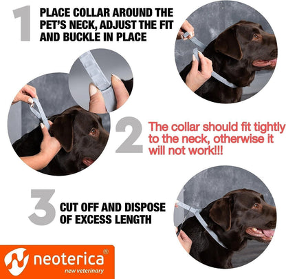Natural Flea Tick Collar for Dogs 6 Months Control of Best Prevention Safe Treatment Anti Fleas and Ticks Essential Oil  image 5