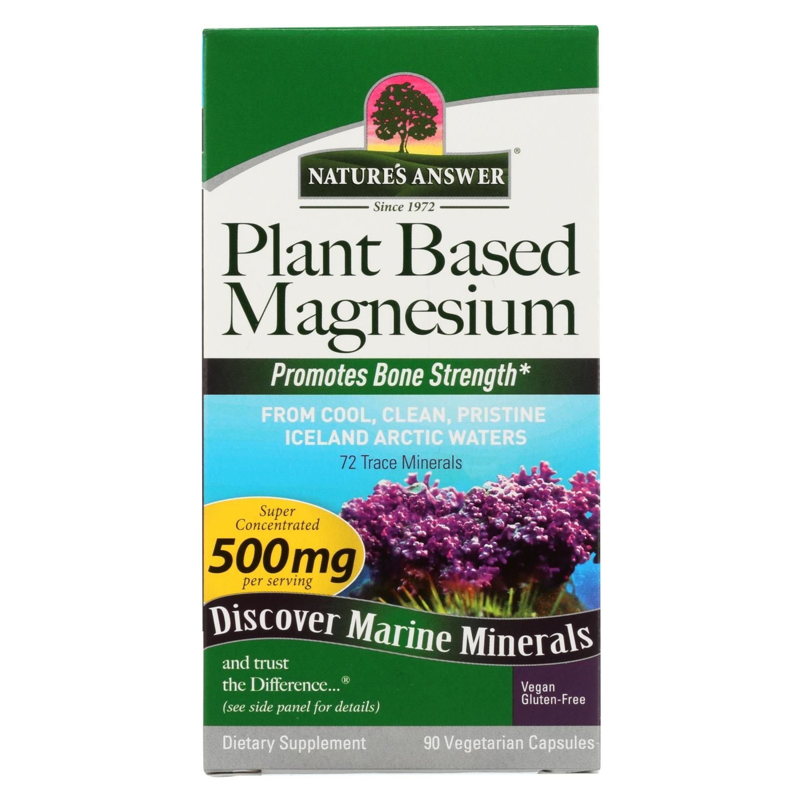 Nature's Answer Plant-based Magnesium Dietary Supplement - 1 Each - 90 Cap image 1