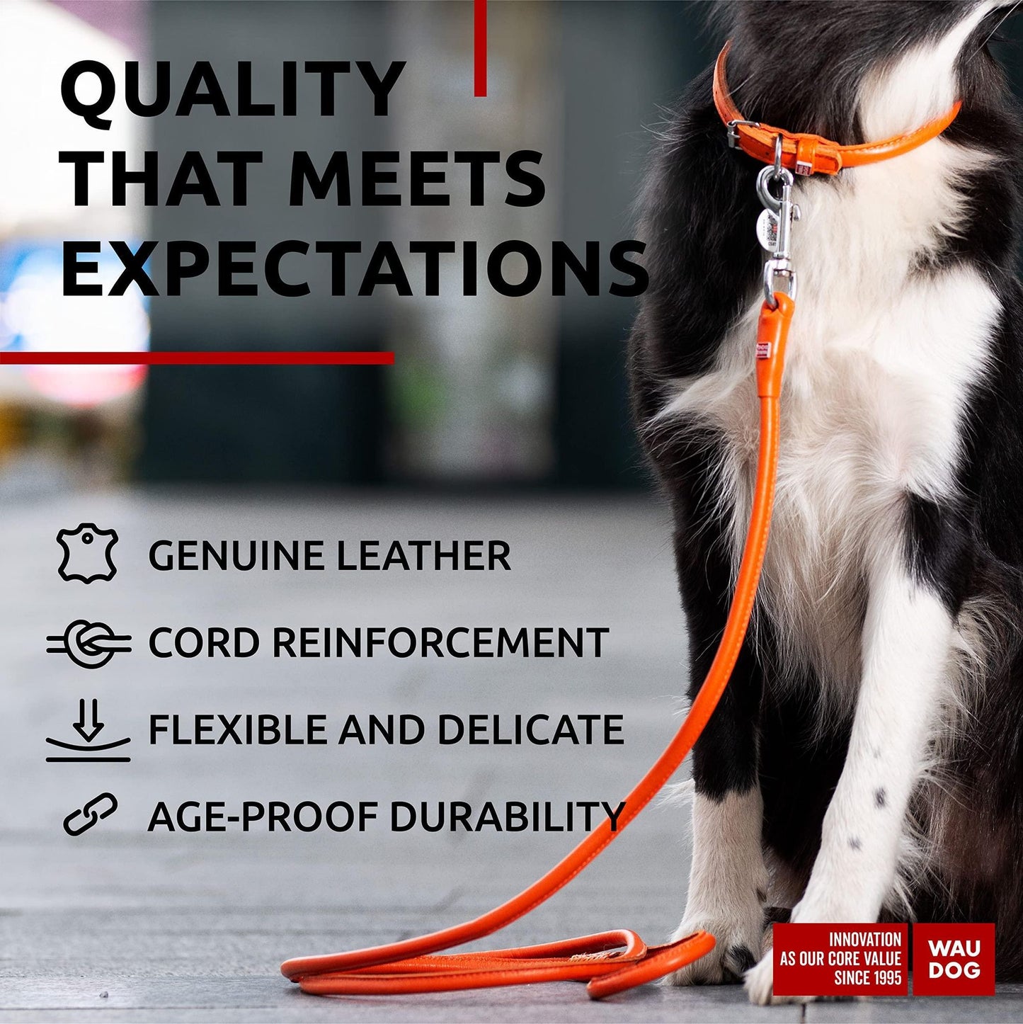 Orange Rolled Leather Dog Leash 4Ft x 0.4 in for Small Medium and Large Dogs Heavy Duty Leather Puppy Leash for Outdoor  image 3