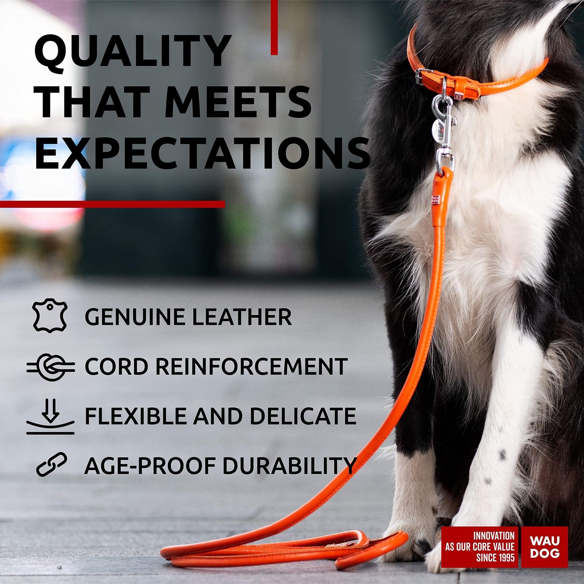 Orange Rolled Leather Dog Leash 4Ft x 0.4 in for Small Medium and Large Dogs Heavy Duty Leather Puppy Leash for Outdoor  image 3